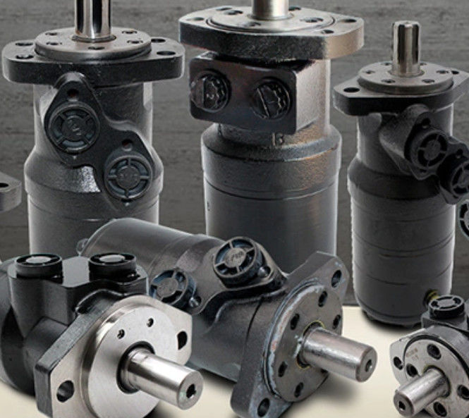 Nodular Cast Iron Cycloid Hydraulic Motor Type BMR Hydraulic Orbital Motor